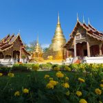 Tempio Wat Phra Singh a Chiang Mai con stupa dorato e aiuole fiorite in primo piano